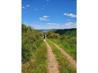 IMG-20210615-WA0005