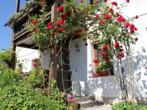 Appartamento per vacanze "Dachsteinblick" nella casa sul lago Attersee - Nußdorf am Attersee - image1