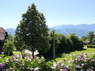 Appartamento per vacanze Nußdorf am Attersee Registrazione all'aperto 3