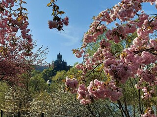 Cochem-Sehl