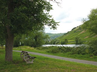 Vor der Tür - Moselufer