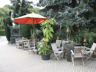 Weingut - 200 m vom Haus entfernt