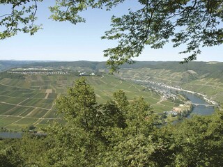 Zell mit Moselschleife