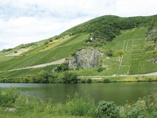 Blick-auf-Mosel-Weinberge