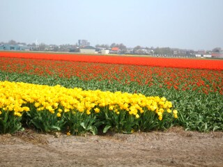 Casa per le vacanze Julianadorp Ambiente 18