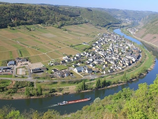 Blick auf den Weinort in Richtung Cochem