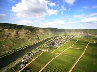 Blick auf Ernst und Steillagenweinberge
