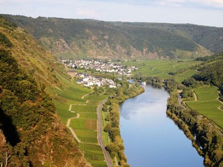 Mosel bei Valwig