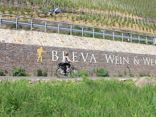 Breva-Radweg an der Mosel