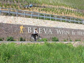 Breva-Radweg an der Mosel
