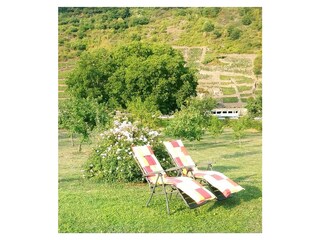 Liegewiese vorm Haus