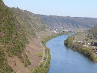 Blick der Brauselay bei Cochem in Richtung Ernst