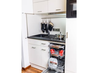 Spülmaschine, Backofen, Mikrowelle, Induktionskochfeld