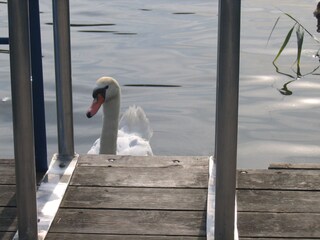 Casa per le vacanze Schwerin in Brandenburg Ambiente 23