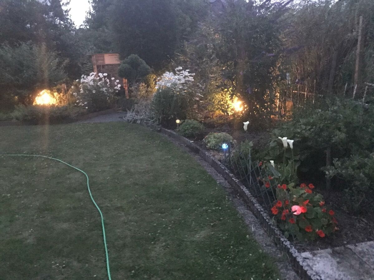 Abendstimmung im Garten