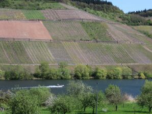 Apartment Ferienweingut Hansjosten - Trier Area - image1