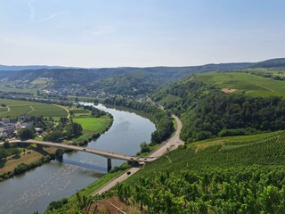 Blick auf die Mosel bei Ensch
