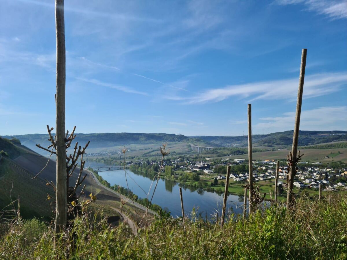 Moseltal im Frühling