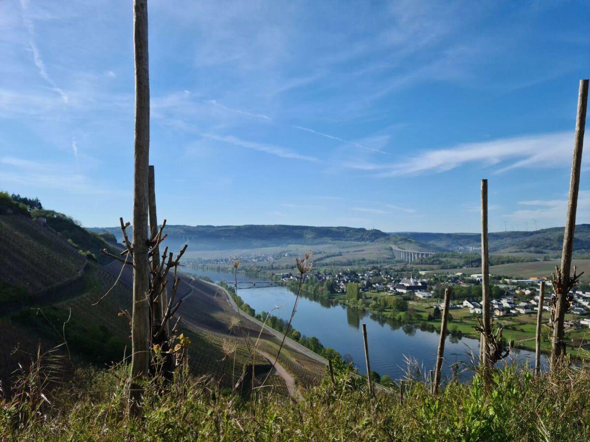 Moseltal im Frühling