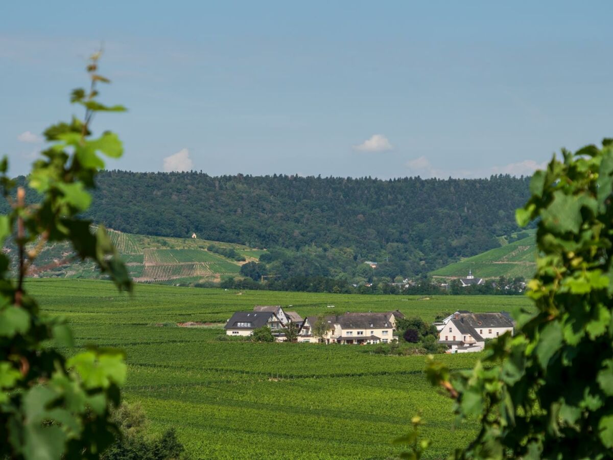 Blick aus dem Steilhang