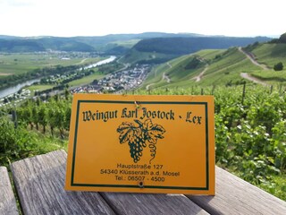 Aussichtspunkt in Klüsserath