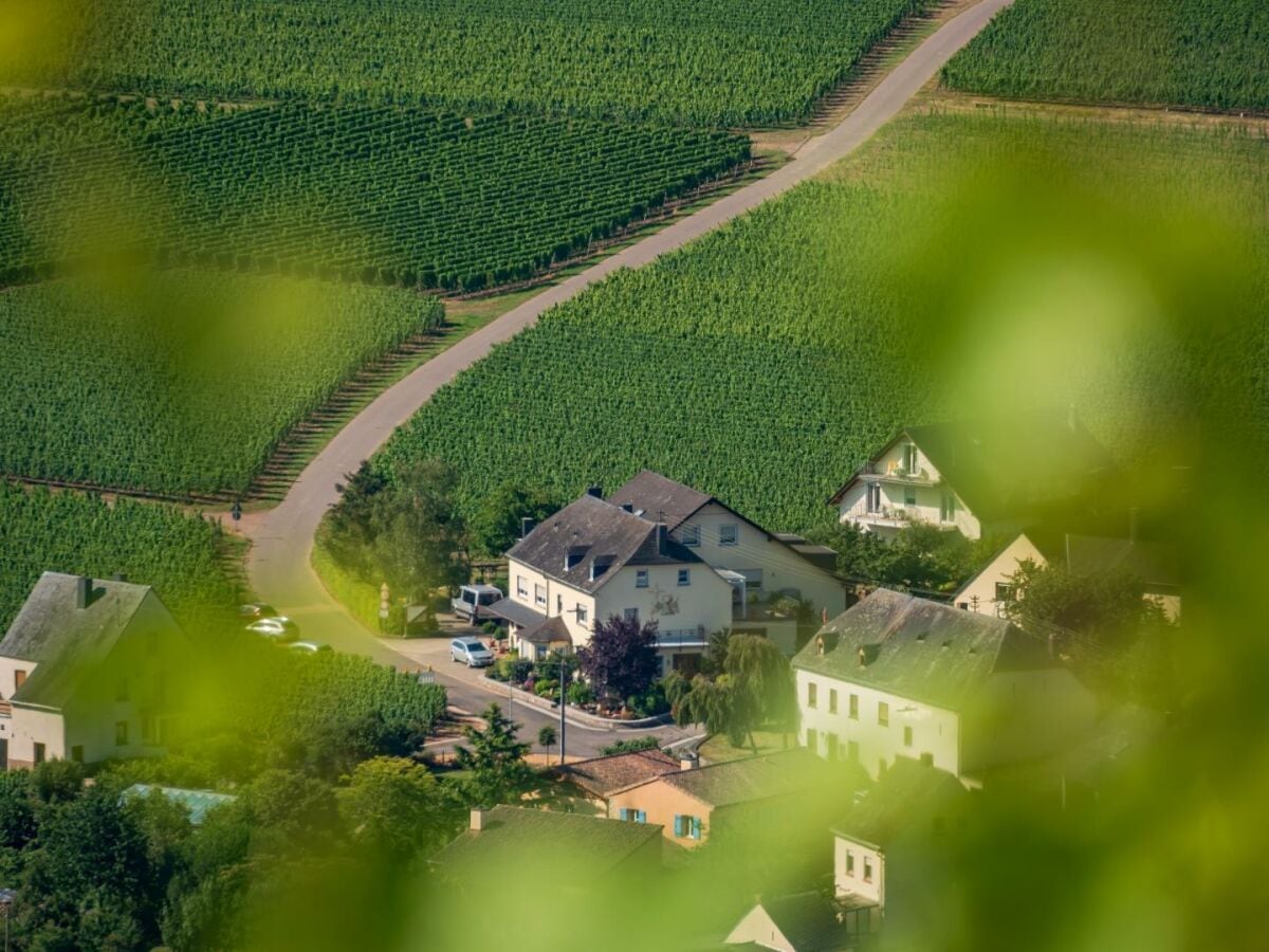 Blick auf unser Ferienweingut Winnebeck