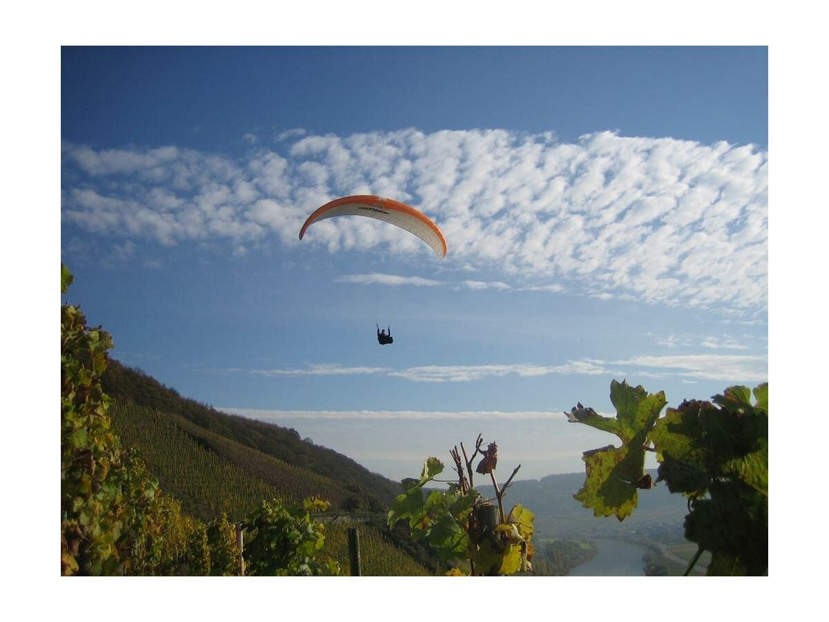 Die Weinberge aus der Vogelperspektive sehen