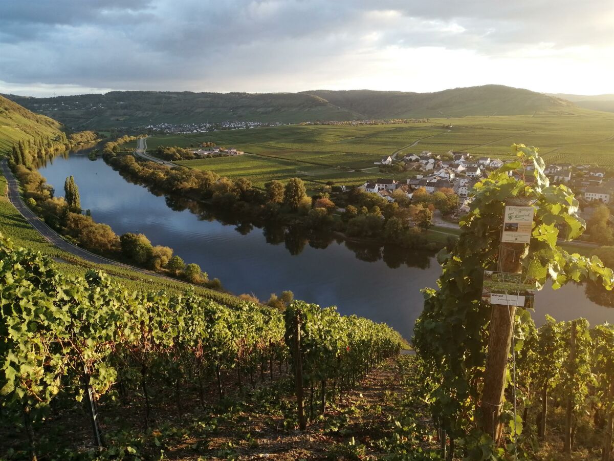 Herbst im Steilhang