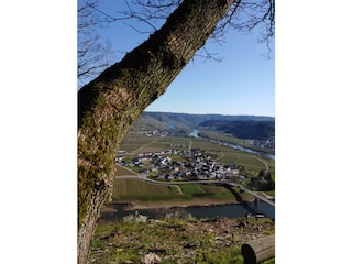 Aussicht auf Thörnich