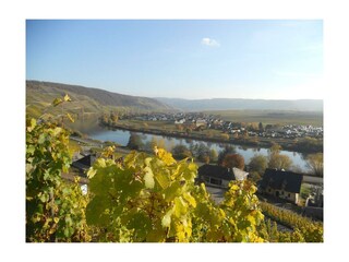 Mosel 2011-2 026