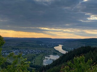 Blick auf das Moseltal