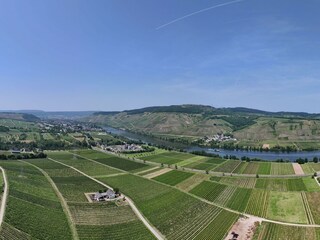 Panorama Riol/Mosel