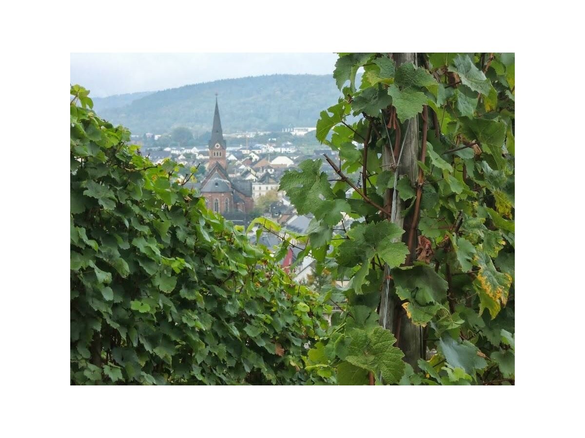 Schweich, am Fuß der Weinberge