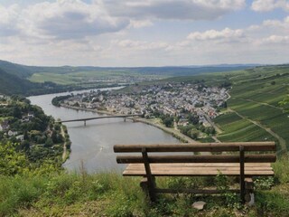 Moselsicht