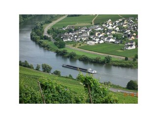 Mosel