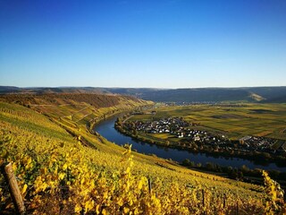 Unsere Steillagen in bunten Herbstfarben