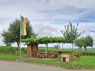 Rastplatz im Weinberg oberhalb von Leiwen