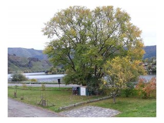 Moselansicht