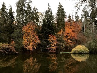 Waldspaziergang im Herbst