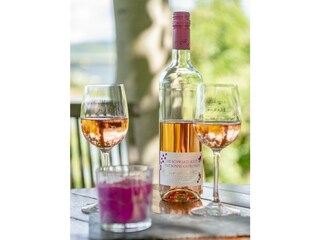 Appartamento Zell Mosel Registrazione all'aperto 13