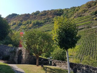 Appartamento St. Aldegund Registrazione all'aperto 7