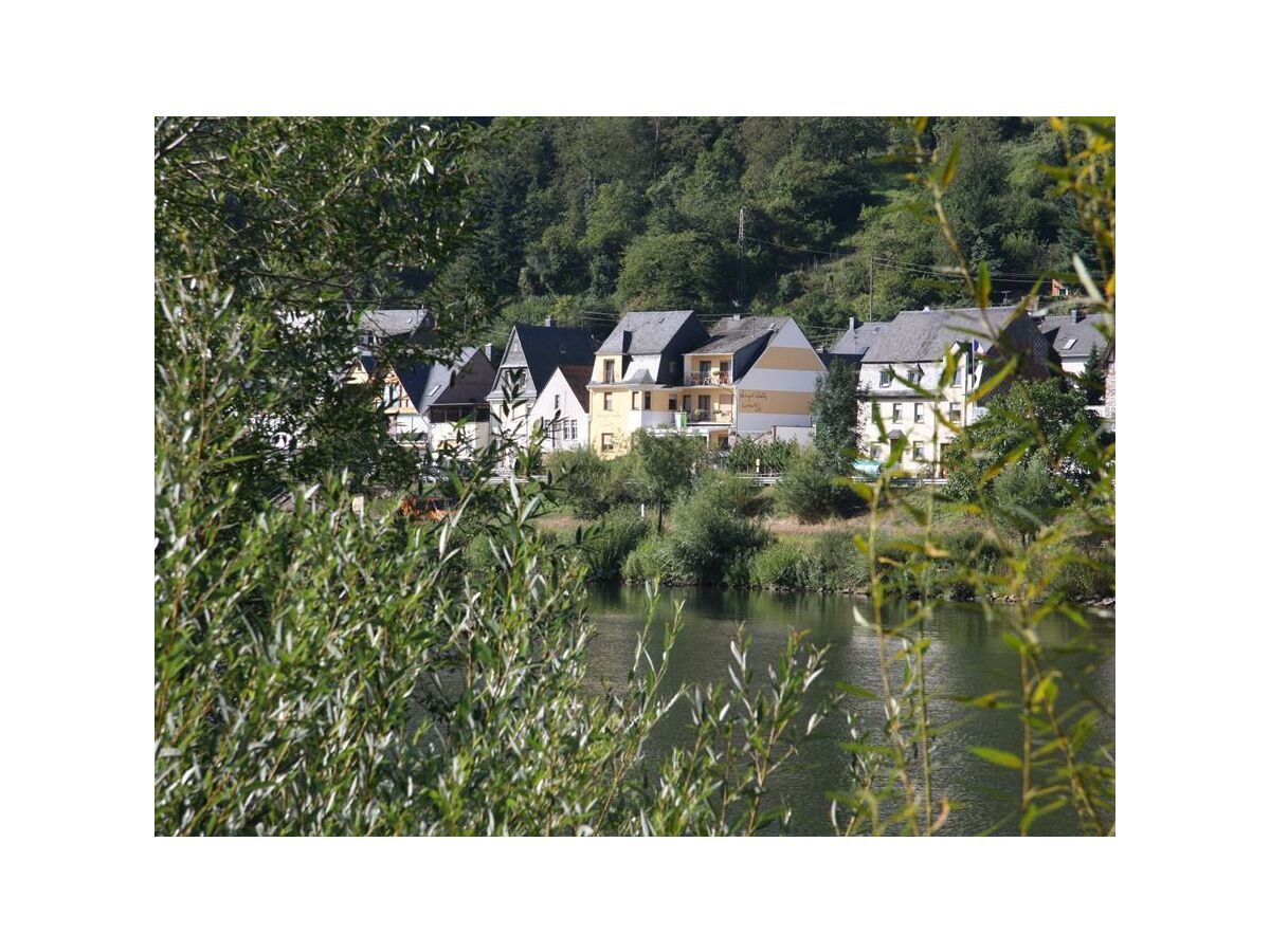 herrlicher Blick über die Mosel