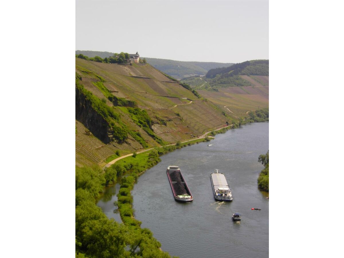 Die Mosel mit Blick auf die Marienburg