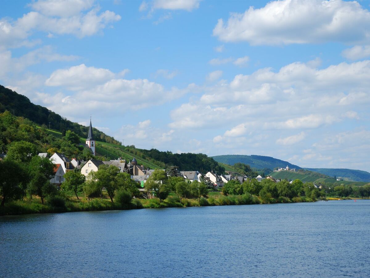 Blick auf Briedel vom Wasser aus