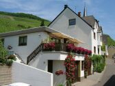 Apartamento Zell Mosel Grabación al aire libre 1