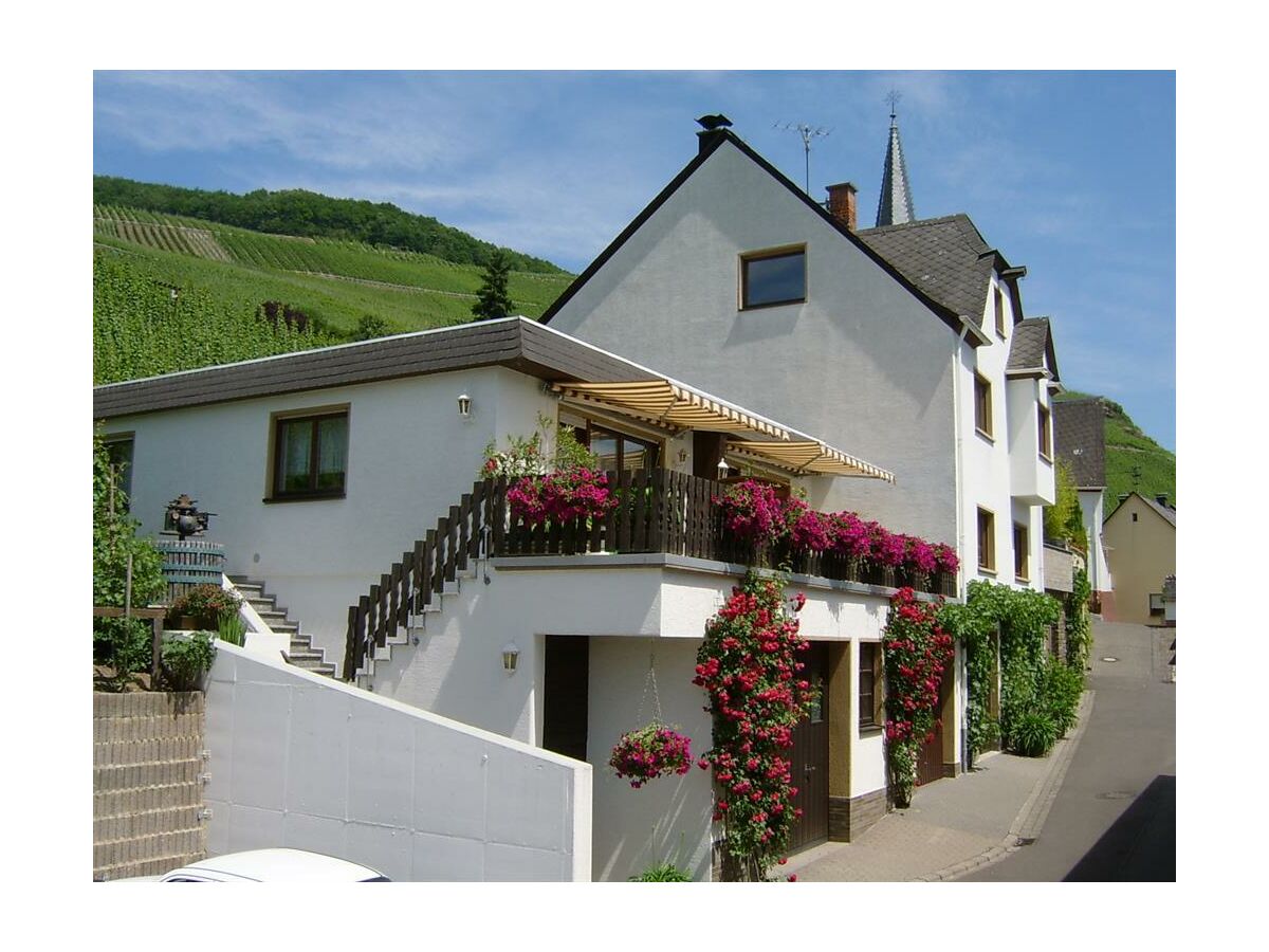 Apartamento Zell Mosel Grabación al aire libre 1