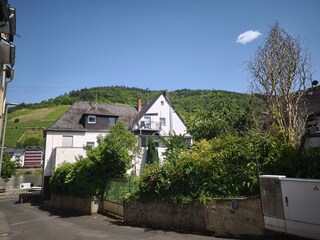 Appartamento Zell Mosel Caratteristiche 24