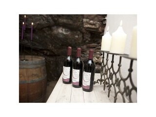 Apartamento Zell Mosel Grabación al aire libre 9