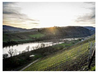 Apartamento Zell Mosel Grabación al aire libre 20