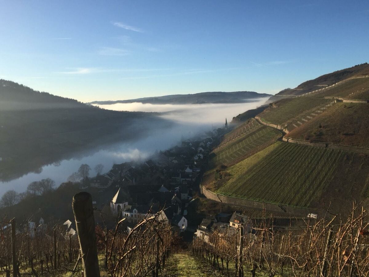 Morgenspaziergang über die Weinberge